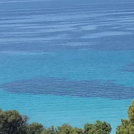 And Bright 60 M With Terrace View On The Sea